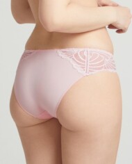 02453 Pampelune blush model back